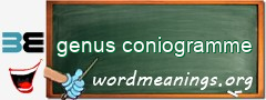 WordMeaning blackboard for genus coniogramme